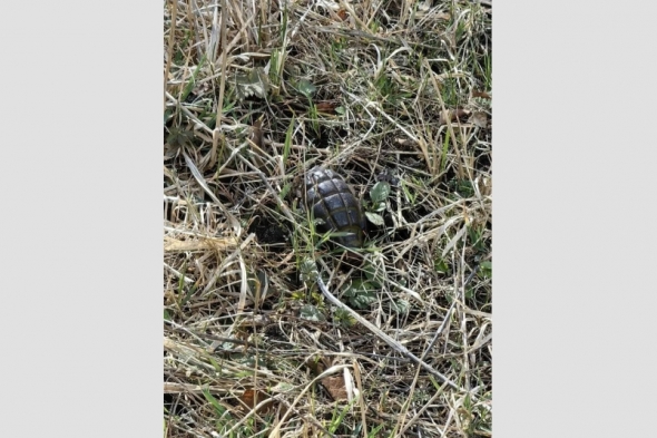 Новость дня