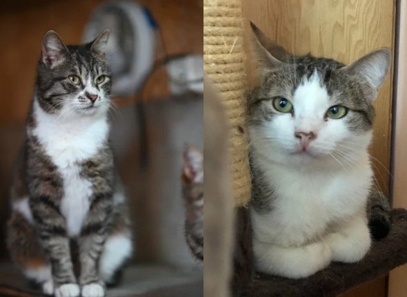 Новость дня