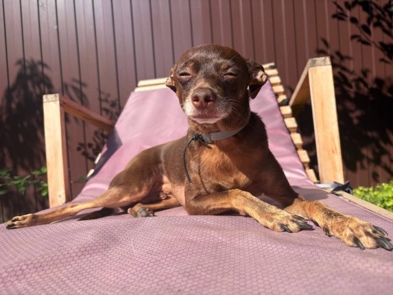 Новость дня