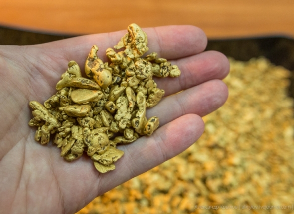 Новость дня