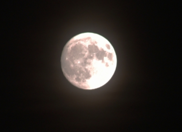 Новость дня