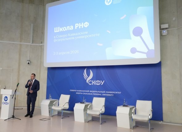 В Ставрополе заработают 16 елочных базаров во всех трех районах