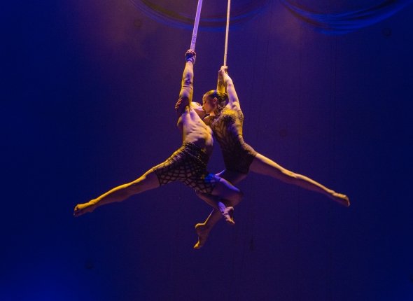 Зажигательное выступление %22InMusica%22 в Краснодаре: хиты  от Вивальди до Циммера