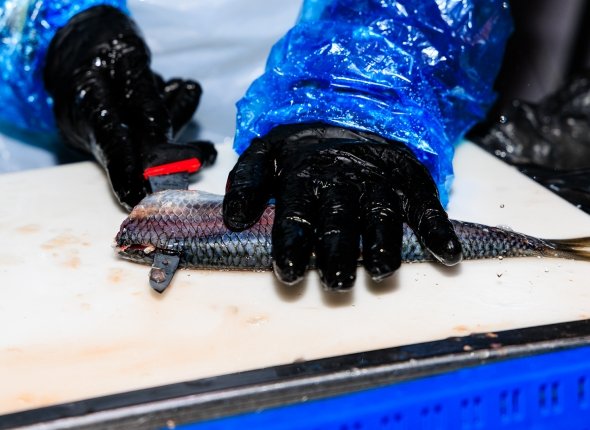 Новость дня