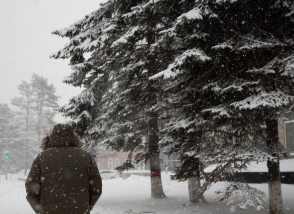 Новость дня