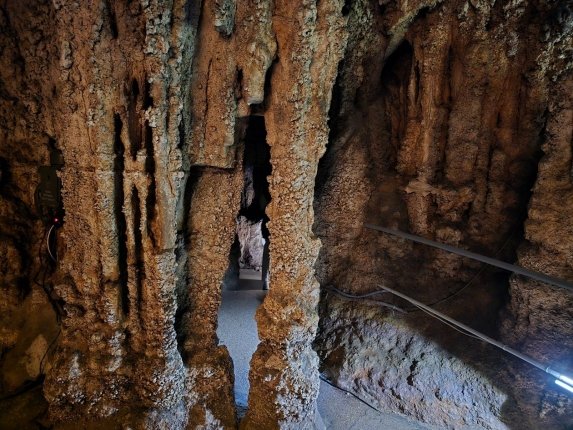 "Будущее литературы - за большими проектами Дальнего Востока и космонавтикой"