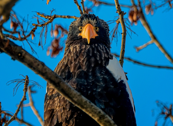 Новость дня