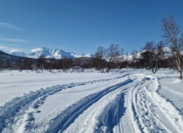 Новость дня