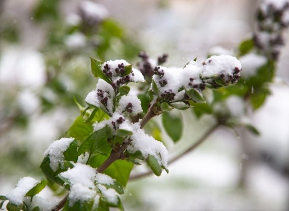 Новость дня