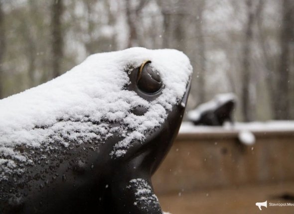 Новость дня