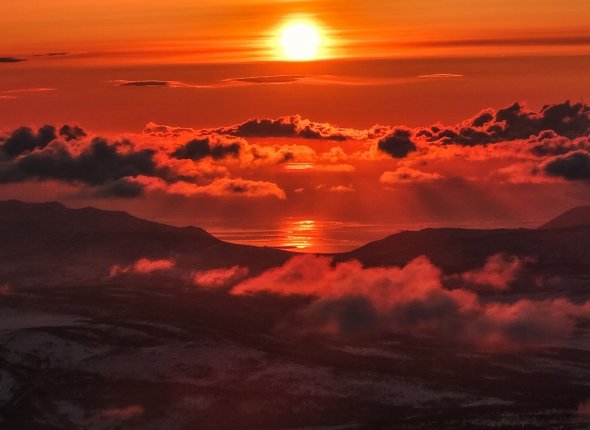 Рецепт икры "пятиминутки"