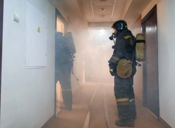 Новость дня