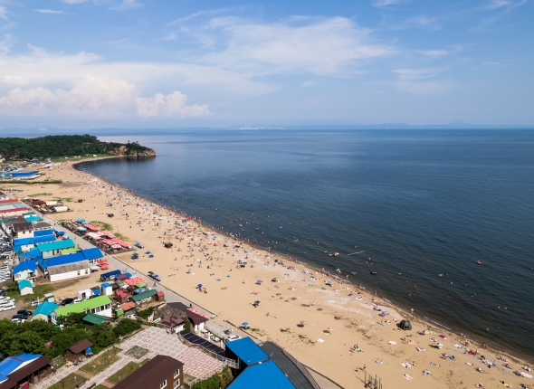 Новость дня