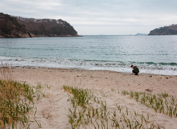 Новость дня