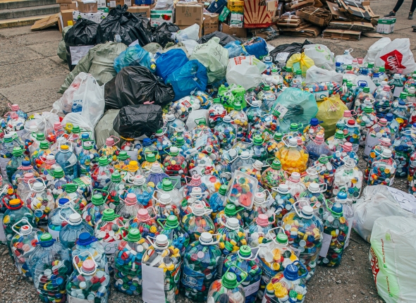 Хищники на воле: лесных котят %22выписали%22 из центра реабилитации для животных в Приморье