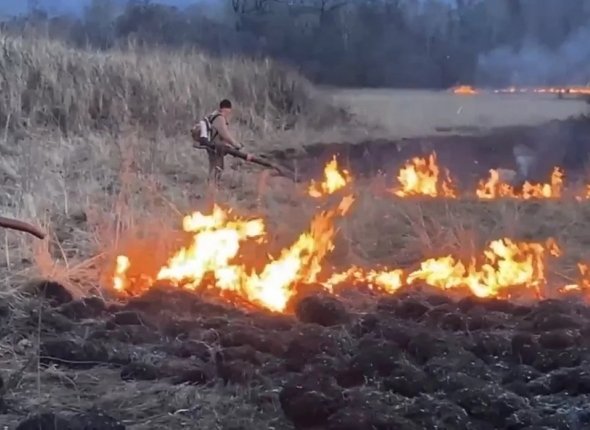 Новость дня