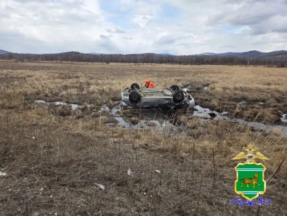 Тяжелые травмы получила женщина-пешеход при наезде авто в ЕАО