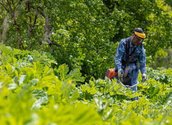 Новость дня