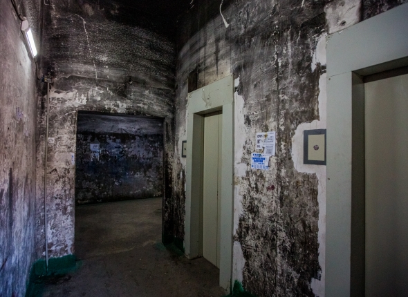 Новость дня