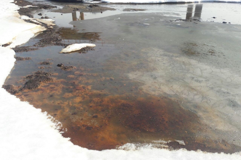 Нефтяное пятно в акватории Амура предоставлено отделением ОНФ
