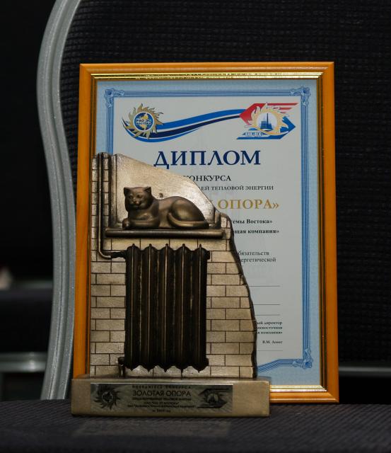 "Кошку на батарее" получат лучшие потребители "Приморских тепловых сетей Приморские тепловые сети