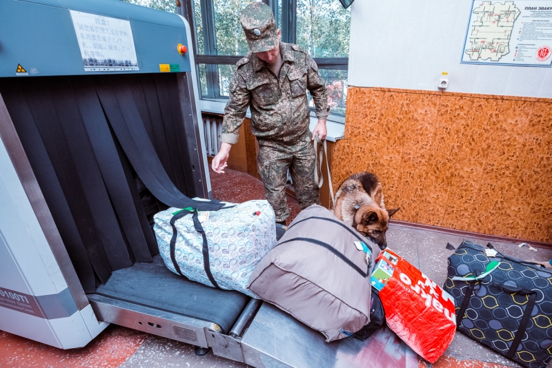 Помогайки, кэмэлы, кирпичи: девять &quotэкономных&quot туристов привлекли к ответственности в ЕАО Мария Бородина, ИА PrimaMedia