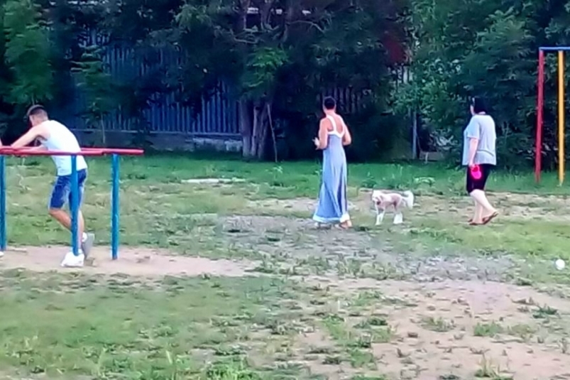 Выгул собаки на спортивной площадке