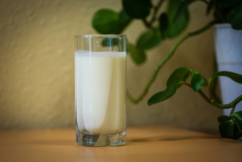 "Фальшивое" молоко с компонентами, не заявленными на этикетке, нашли на Кубани Антон Балашов