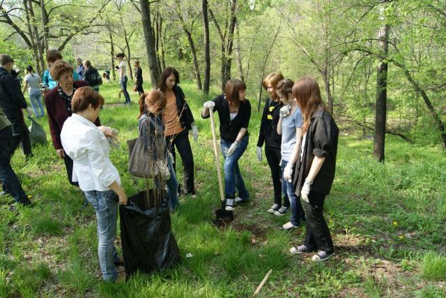 Высадка деревьев