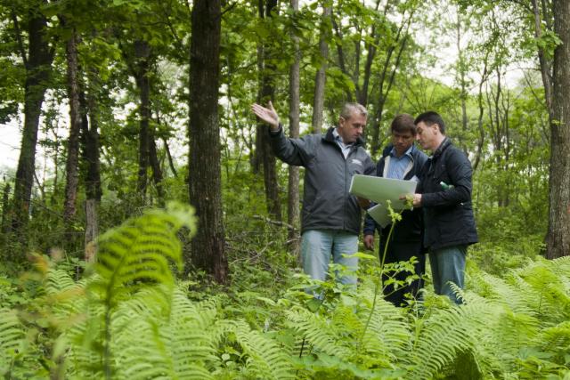 Выездное совещание