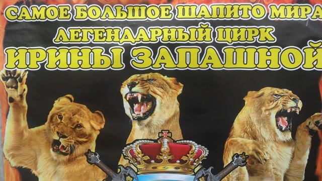 Передвижной цирк Ирины Запашной вызвал разочарование в ЕАО Макс Кисляков