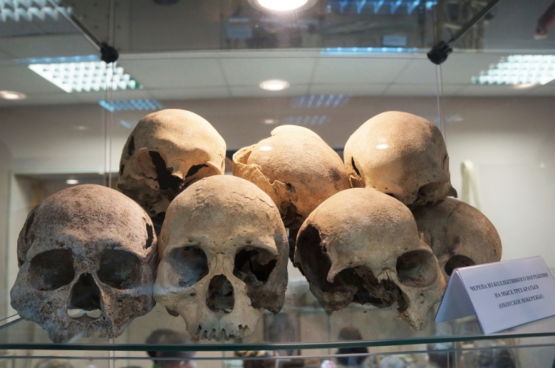 Археологи предполагают, что головы обезглавленных пленников были насажены на колья и выставлены на всеобщее обозрение Вероника Рыбальченко, ИА MagadanMedia