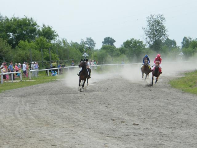 Кубок конный спорт