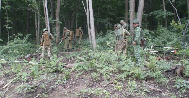 Саперы работают в лесу