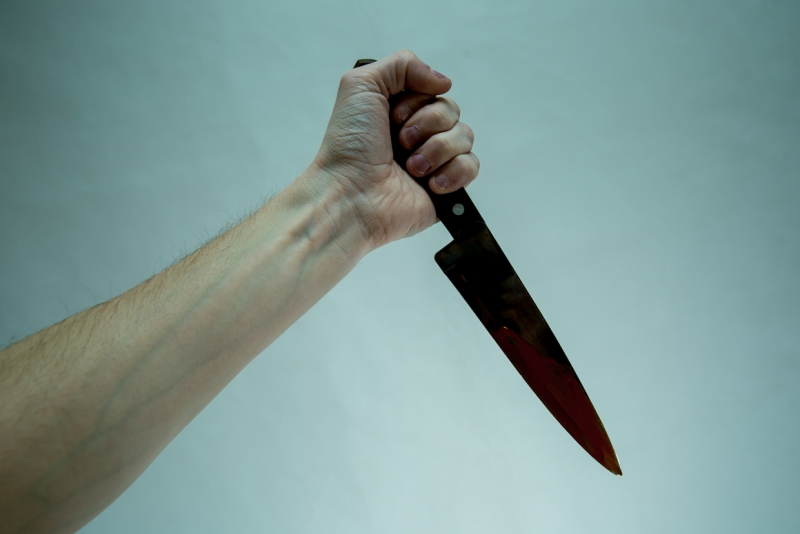 22-х летний молодой человек, схватив нож, нанес несколько ударов знакомому в область шеи Александр Ратников, ИА PrimaMedia