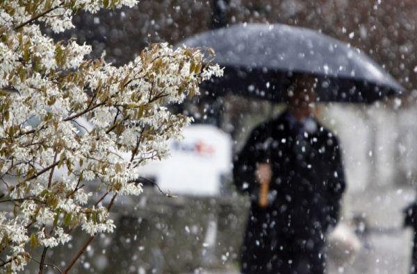 Фото http://cdn.newsday.com/polopoly_fs/1.1884006.1272400720!/httpImage/745945541.jpg_gen/derivatives/display_600/745945541.jpg