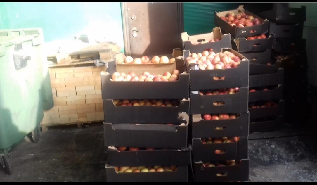 Более тонны яблок из Польши сожгли в печи http://www.ukrsn.ru