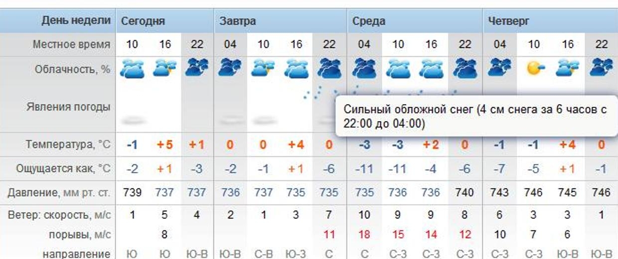 Синоптики уточнили время и дату начала сильного обложного снега во Владивостоке