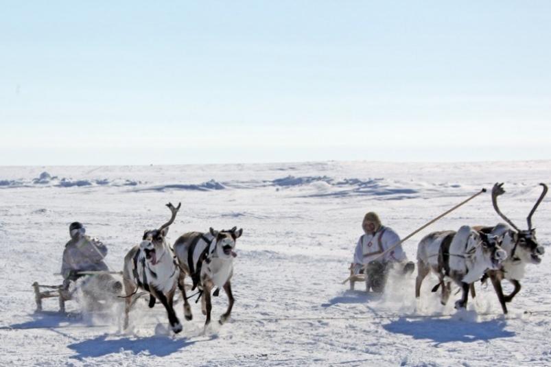 Безопасность инвестиций в арктические проекты обсудят на форуме в Якутии осенью 2019 года ИА YakutiaMedia