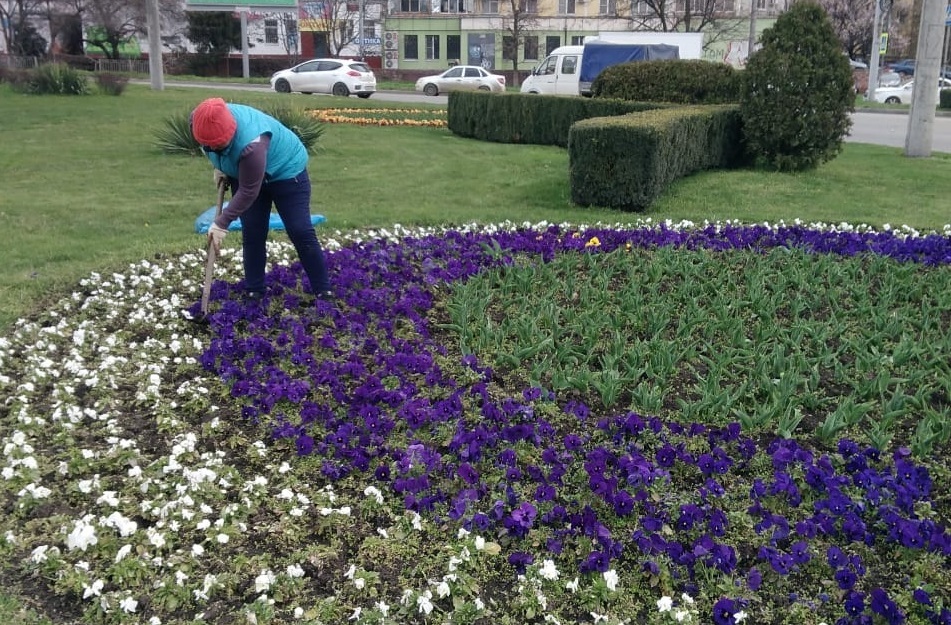 Краснодар расцветет к майским праздникам: на клумбах начали высадку сезонных цветов пресс-служба администрации Краснодара