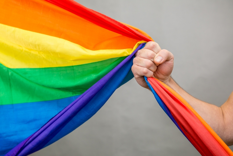 Флаг ЛГБТ ИА PrimaMedia