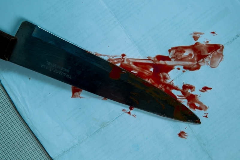 Житель Якутии в гостях  убил хозяина дома, избил жену и нанес ножевые ранения приятелю ИА ПримаМедиа