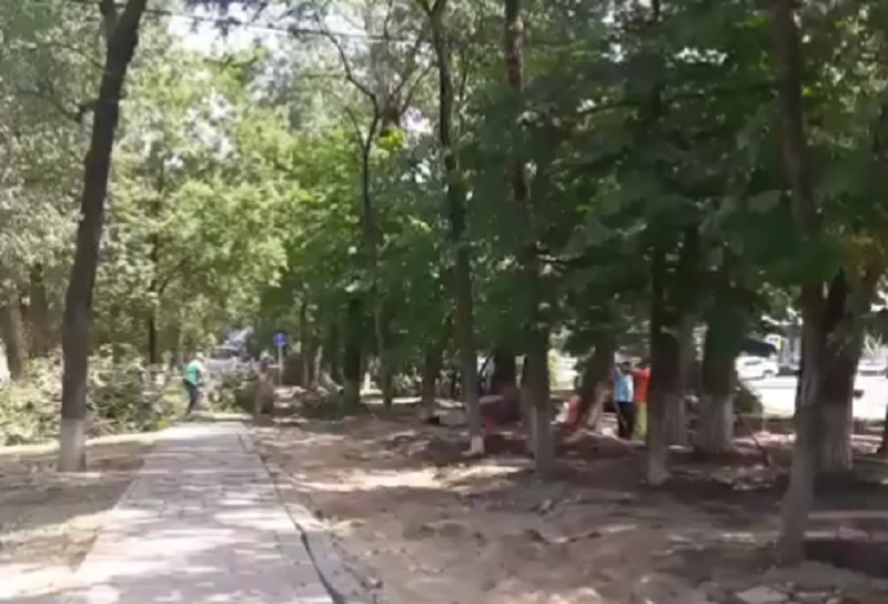 В "бетонный ад" превращается вырубленная аллея в Фестивальном районе Краснодара Скрин видео из соцсетей