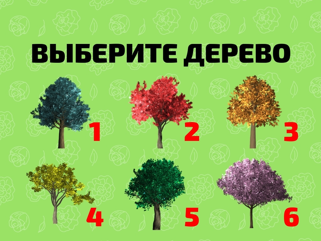 Выбирайте дерево и живите. Тест с деревьями в картинках. Выбери дерево и узнай. Тест выбери дерево. Тест выбери дерево на картинке.