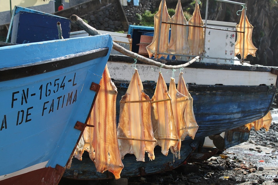 Больше дрожжей, чем самой рыбы нашли в сушеном минтае в порту Приморья pixabay.com
