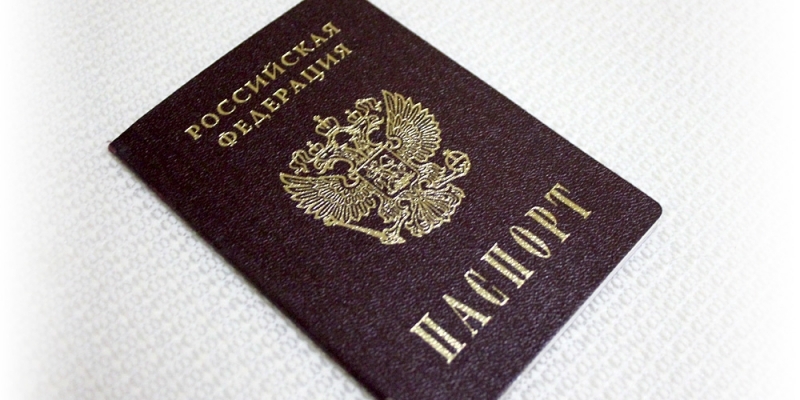 Паспорт Гречанюк Виталий, ИА PrimaMedia
