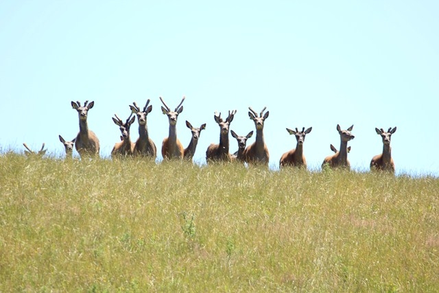 Житель ЕАО Евгений Ткач в Новой Зеландии