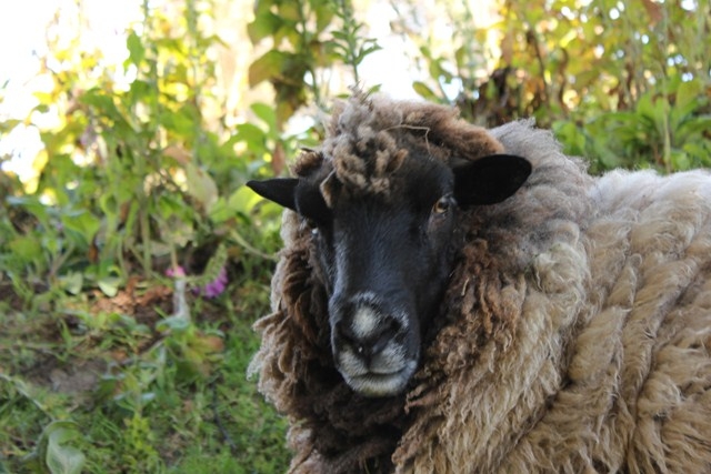 Житель ЕАО Евгений Ткач в Новой Зеландии