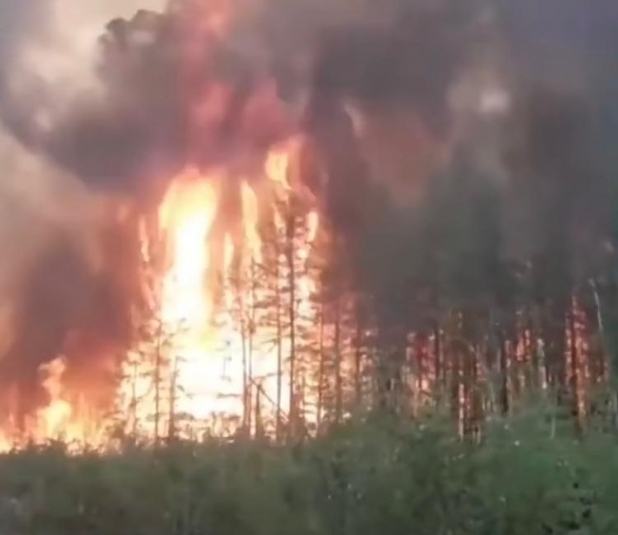 Ущерб от лесных пожаров в Якутии составил 72,7 млн рублей МЧС РС(Я)