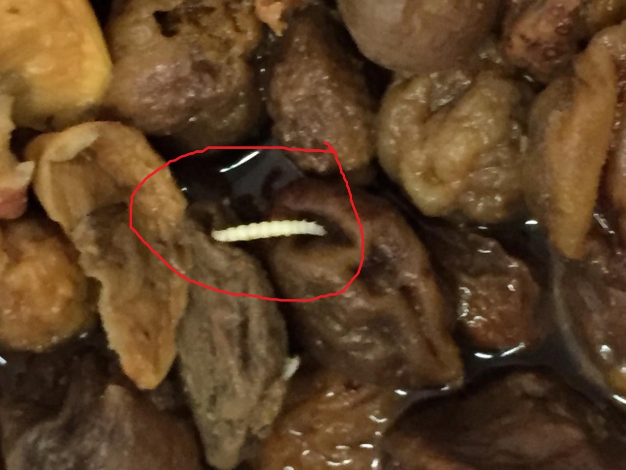 Ужасы пищеблока в детдоме ЕАО: черви в компоте, тучи тараканов, гнилые продукты наркорр ИА ЕАОMedia